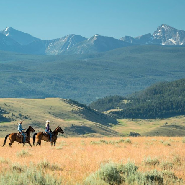 OctagonRetreat's tweet photo. Another Magical Montana Moment!
✨🏞️✨
Got to love those spacious hills &amp; the stunning mountains!
And the beauty of the wildlife!
#airbnbhomes #montana #horses #housedesign #horseriding #modernarchitecture #vacation https://t.co/UUSHvqX4PN