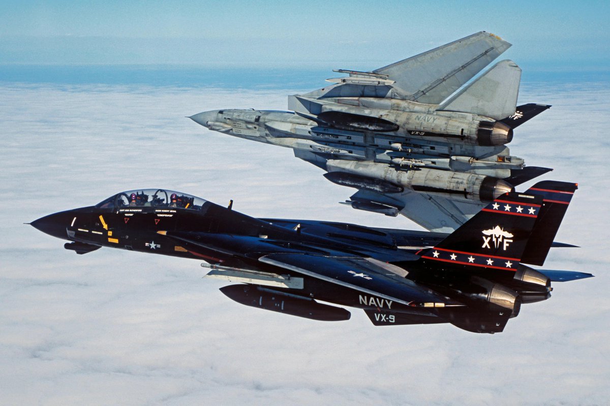 tempest_books's tweet photo. Does the Tomcat look best in black or grey? https://t.co/4GFu2QQPC7