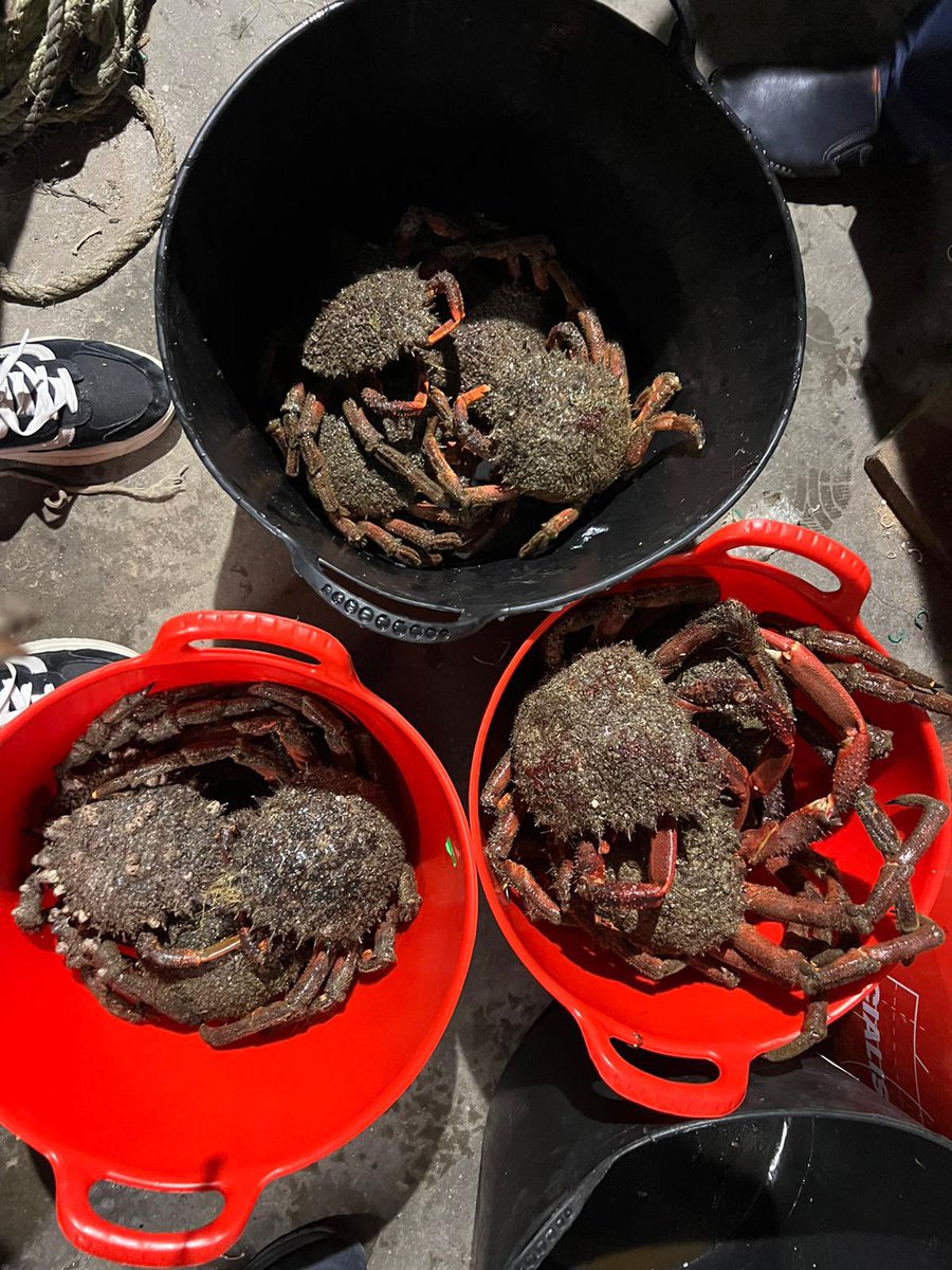 Rubén Bastón tweet media