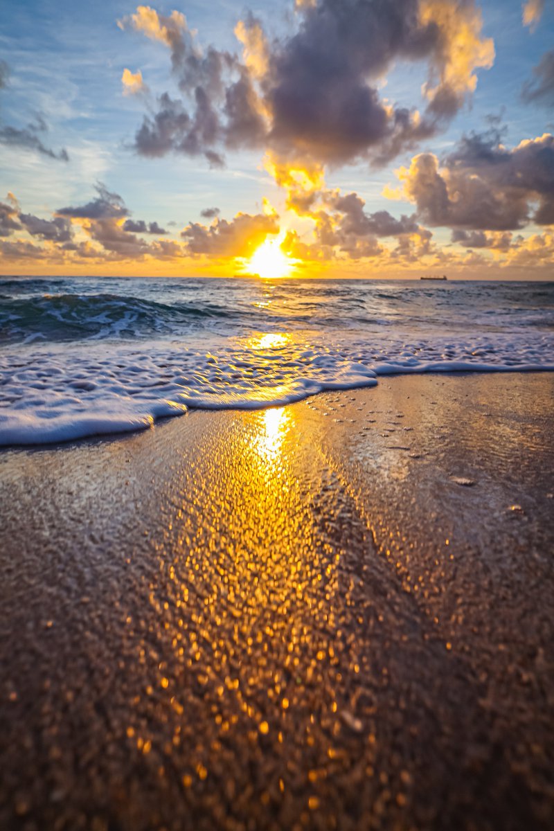 SunrisePhotography tweet media