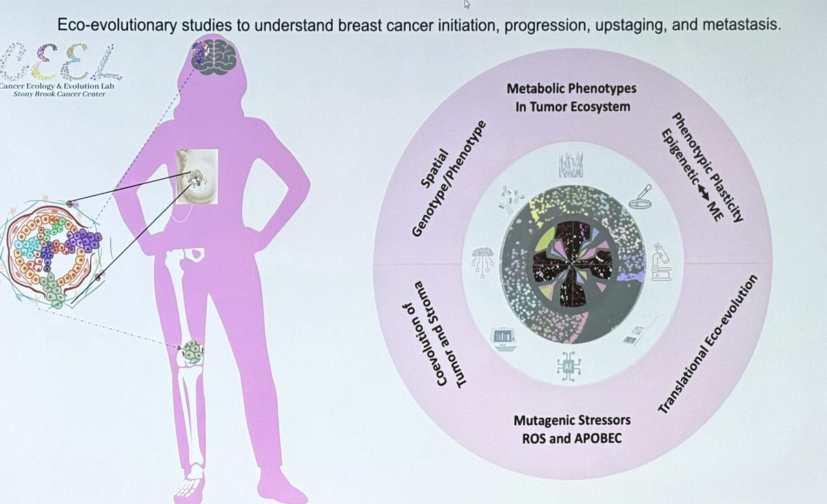 ara_anderson's tweet photo. Opening the afternoon session is collaborator and friend @mehdiDamaghi presenting, Ecology and Evolution of Breast Carcinogenesis #CSBCPSON23 https://t.co/k9nDwBcJCf