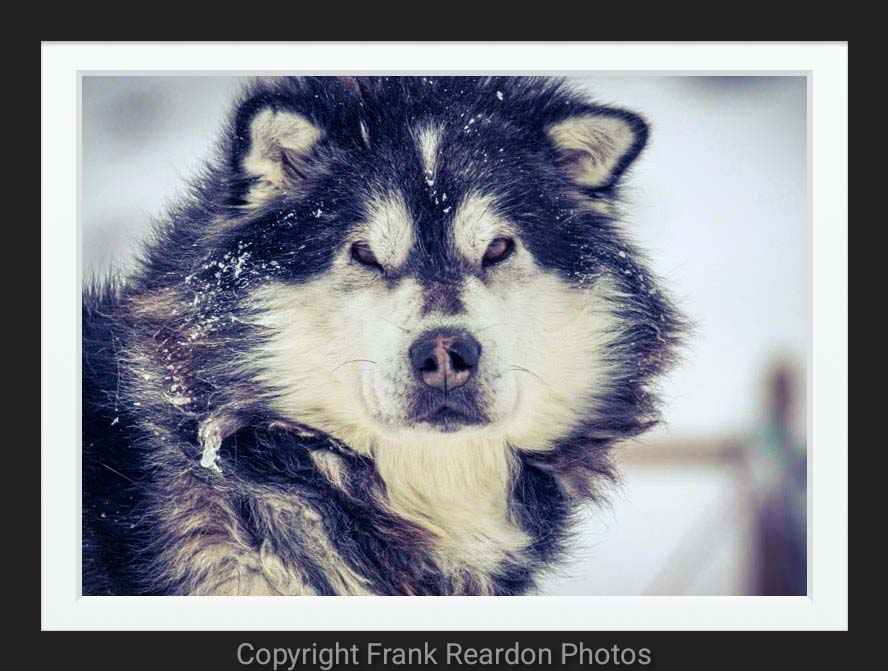 Happy #InternationalInuitDay! NOV.7.2023 #Inuit