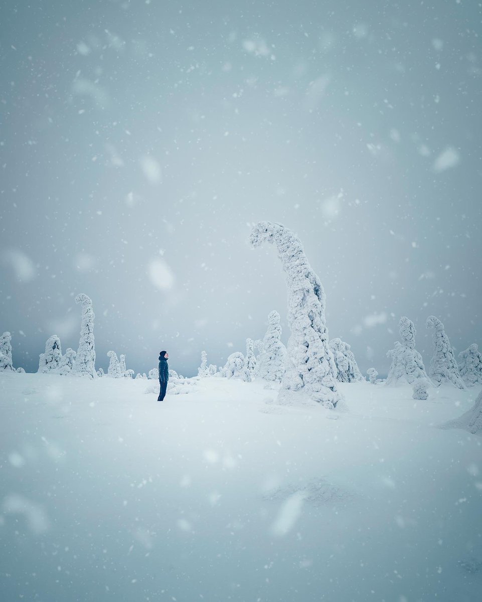 Hugo Korhonen ❄️ tweet media