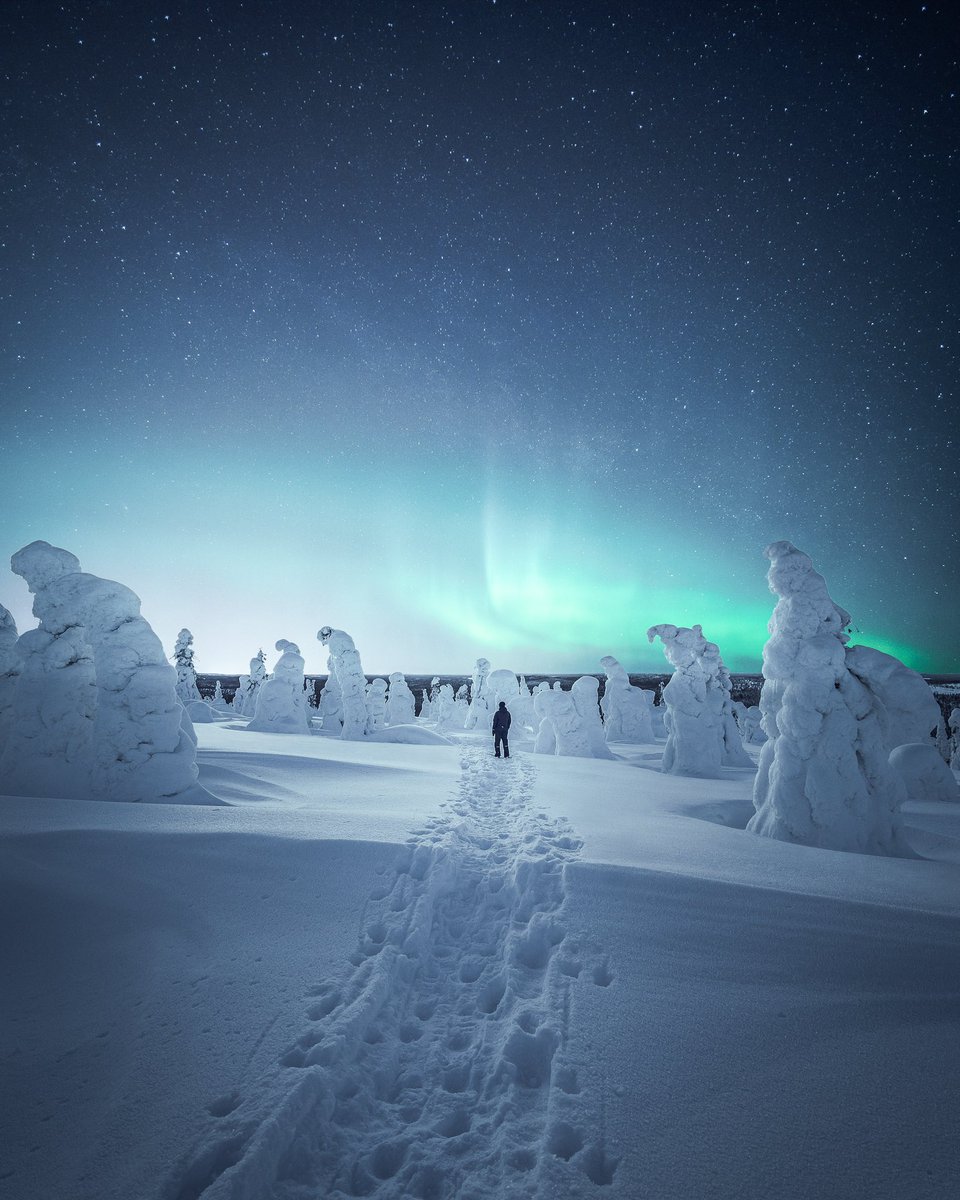 Hugo Korhonen ❄️ tweet media