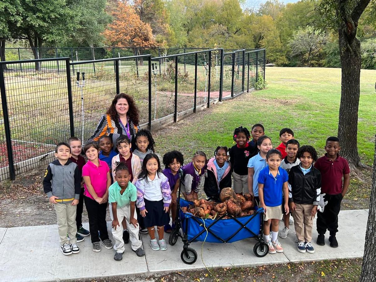 👀 Can you believe your eyes? Check out this HUGE 14.8-pound sweet potato! These @ShawBulldogs were surprised when they discovered they had harvested this sweet veggie in their campus community garden!! #MadeToExcel🍠