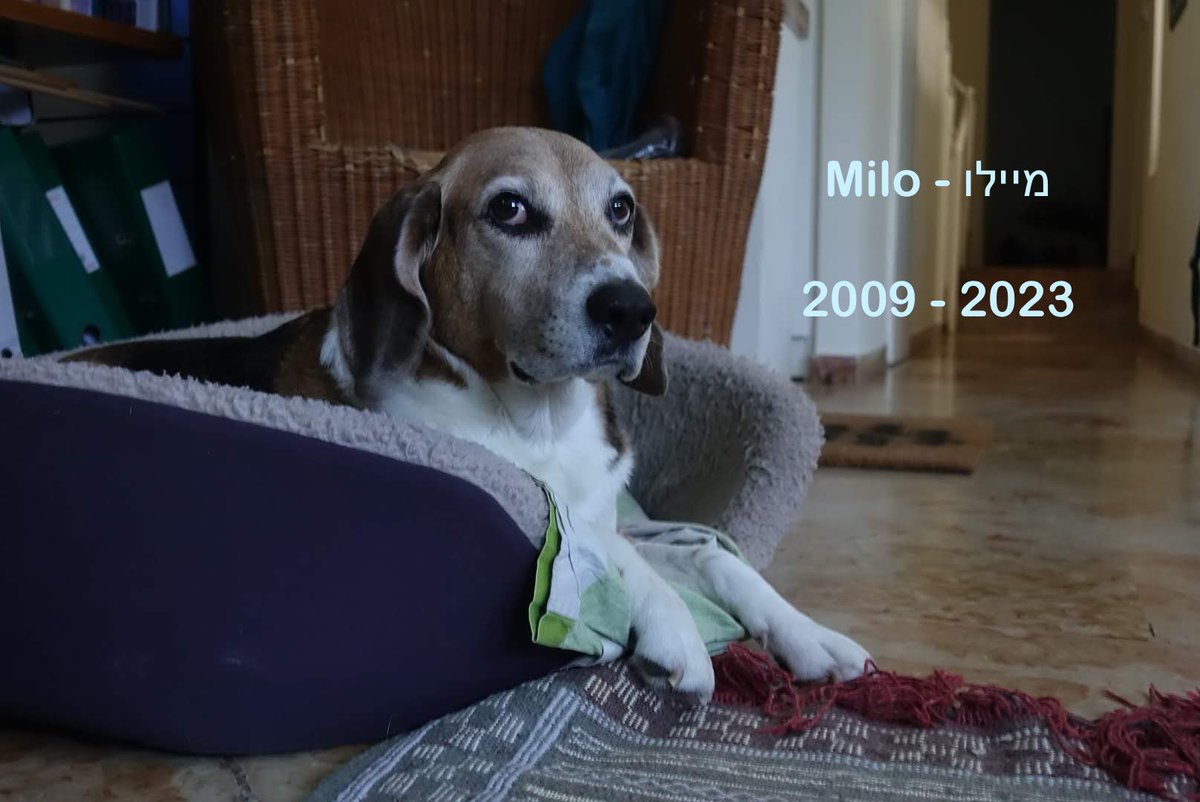 Daniel Seidemann tweet media