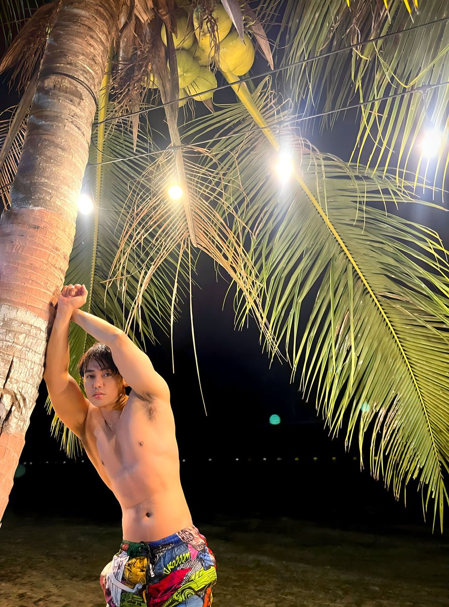 Under the moon's gentle glow, perched on a coconut tree, I find solace in the soothing night breeze and the symphony of ocean waves.  A tranquil, stress-free escape with only the stars as my witnesses. Here, on this beach, I discover the therapy I've been longing for.