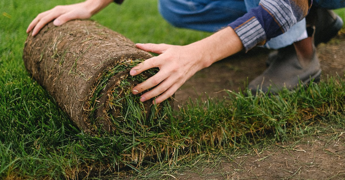 Unsure about all the aspects of grass care? Oh ya, there's a lot. 
We have the lawn care and maintenance for all the landscaping needs.
#artificialgrass #nowasteliving 
landscapelaveen.com/newpage