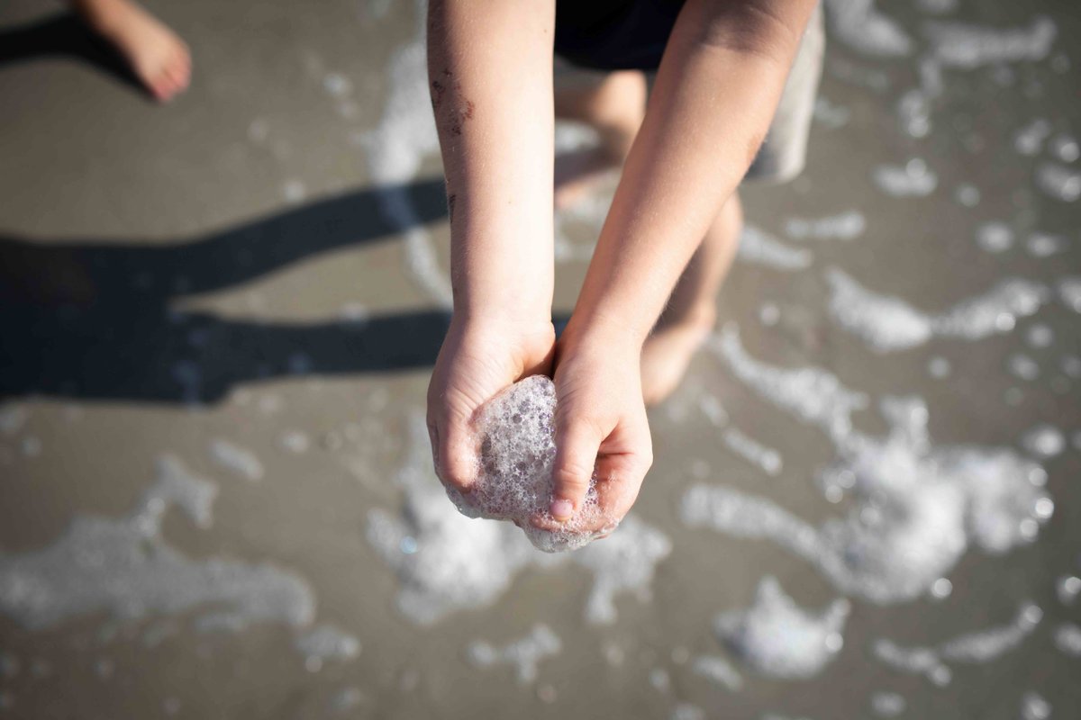TIMA's educational model offers more than just classroom learning. It's about real-life experiences and a beautiful coastal landscape. 🏞️ Contribute today to grow  this environment for our children's growth. #TIMAExperience #MaritimeFund #gratefulforTIMA 
buff.ly/3QI1Ypi