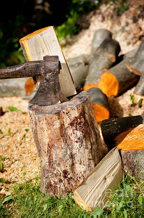 Vivid Void tweet media