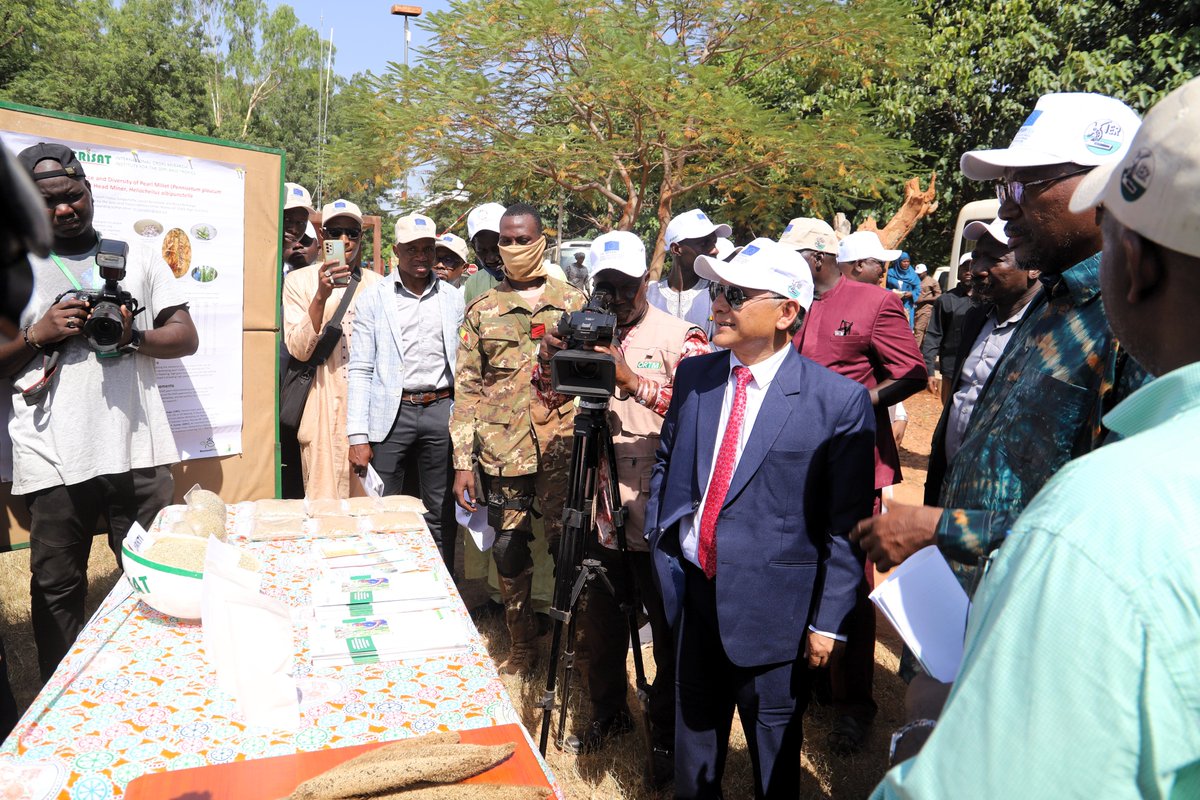 FAOMali's tweet photo. Journée portes ouvertes d'@IcrisatW à #Samanko dans le cadre de l'#AnnéeduMil avec la visite de chambres froides de conservation de semences &amp; de parcelles d'expé. du #sorgho &amp; du petit #mil, la découverte de plusieurs variétés de céréales🌱 résistantes au chang. climatique #Mali https://t.co/ddtU8mvICm