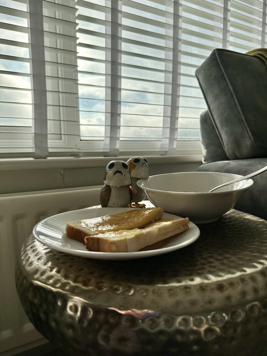 PabloThePorg's tweet photo. Good morning everyone! We had a surprise yesterday, hooooman has taken us on holiday! Today is a very leisurely morning #Porg #Breakfast #Travel #TravelPorg #TheRiseOfSkywalker #TheLastJedi #PabloThePorg https://t.co/U6h1pwpARs
