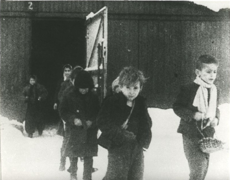 Some 232,000 children up to the age of 18 (216,000 Jews, 11,000 Roma, at least 3,000 Poles, over 1,000 Belarusians & some Russians, Ukrainians & others) were deported to the camp. Learn about their fate from our online lesson: lekcja.auschwitz.org/dzieci_EN/