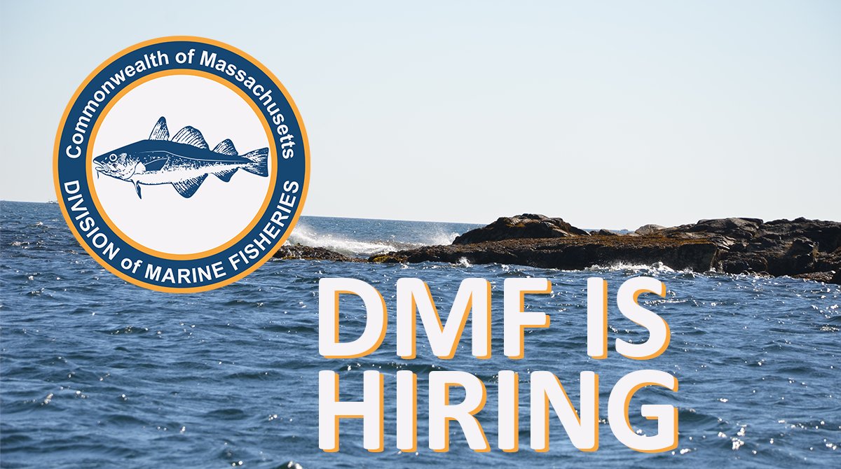 Apply to be <a href="/MassDMF/">MA Division of Marine Fisheries</a>'s Assistant Deputy Director for Shellfish! The person in this position will be based in their New Bedford office.

massanf.taleo.net/careersection/…