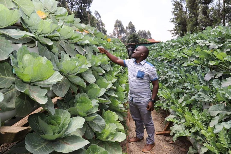 p_dusabimana's tweet photo. Not having a 50-hectare land is not an excuse for starting agriculture today! https://t.co/r4AGbXmp4P