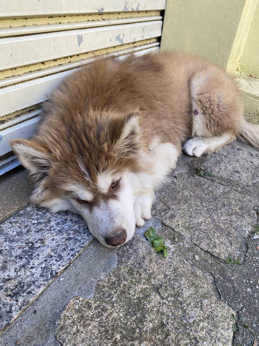 guilesskiu's tweet photo. @naruteus Simm primo, fez 3 meses agora https://t.co/ycSAXjOuu1