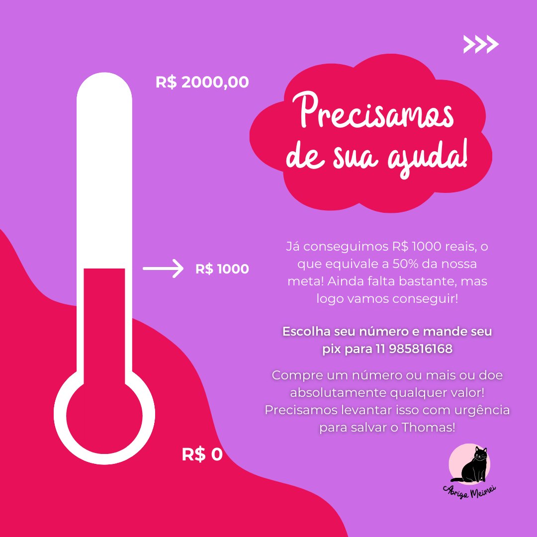 loreba_'s tweet photo. Gente, o Thomas é um gato que sofreu maus-tratos de onde veio. Sua ex-tutora deixou que uma otite se transformasse em uma massa cheia de pus e sangue que só sairá com cirurgia. Precisamos de R$ 1000 com urgência para operá-lo. Criei uma rifa e tem também a contribuição a parte. + https://t.co/dAu14UgLYg