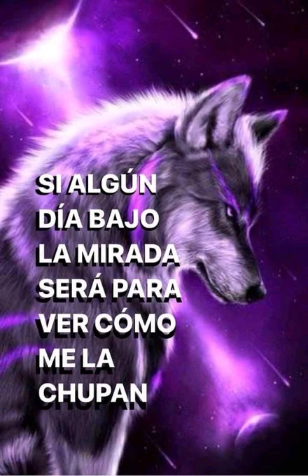 frigosouul's tweet photo. https://t.co/hU793RryIY
