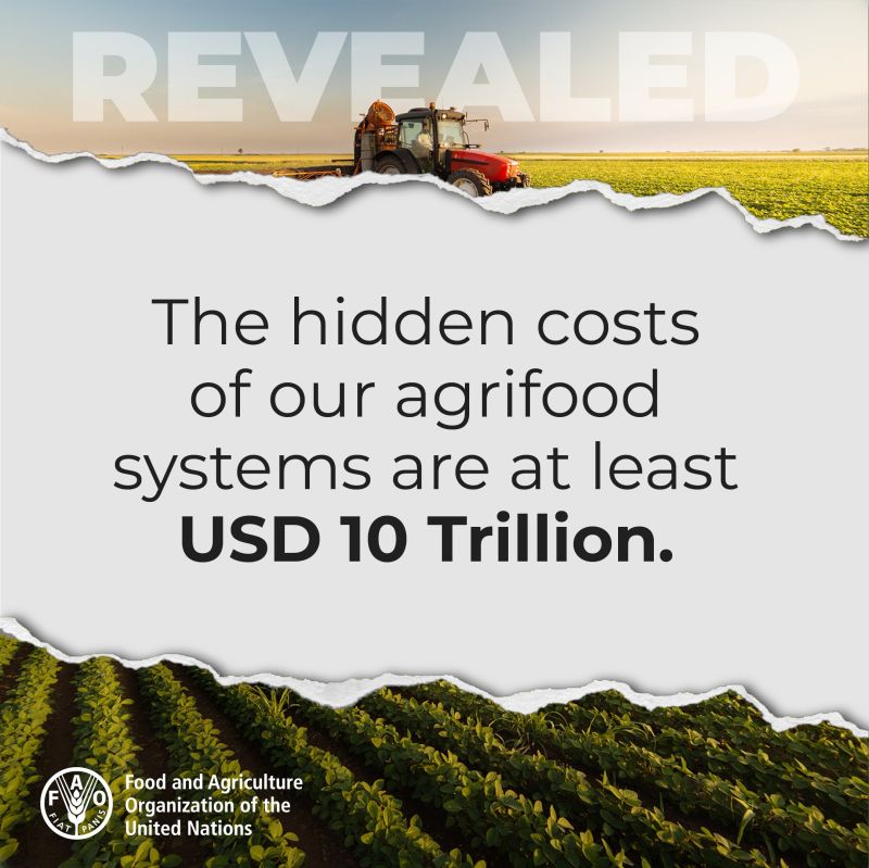 Agrifood systems have hidden costs. We all pay them, but not equally. For the first time, FAO calculated the environmental, health and social hidden costs in agrifood systems for 154 countries. 
@FAO
#TrueCostofFood #SOFA2023 #TrueCostAccounting