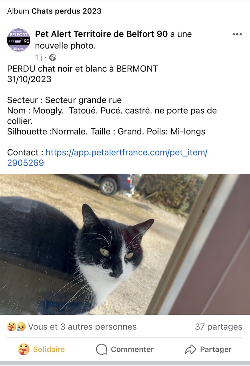 justmakeeupp's tweet photo. J’ai perdu mon bébé depuis une semaine il n’est pas rentré… 
À Bermont dans le 90
Il est noir et blanc, yeux vert, très gentil, capable de suivre les gens..
Svp partagez au maximum… 
Il est tatoué. Il nous manque terriblement, à sa sœur également qui est perdu sans lui😭 https://t.co/d8a4YkfQwq