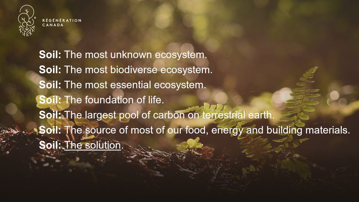 FoodWorkJobs's tweet image. HIRING — Director of Regenerative Transition, @regenerationcan, remote, anywhere in Canada... GoodWork.ca/949396 #RegenerativeAgriculture #NaturalSolutions cc:  @equiterre @CanadianOrganic @acornorganic @thisisorganicbc @NFUcanada @SeedsDiversity