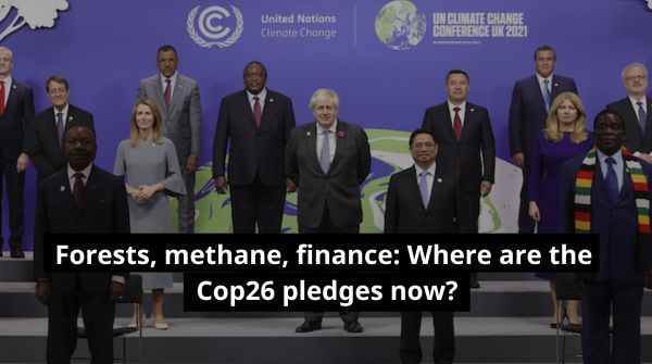 Back in 2021, more than 140 countries joined the coalition to end and reverse deforestation by 2030. Now, countries remain off track to reach the goal of the Glasgow pledge. In fact, the situation is getting worse. 
buff.ly/46XEjqu