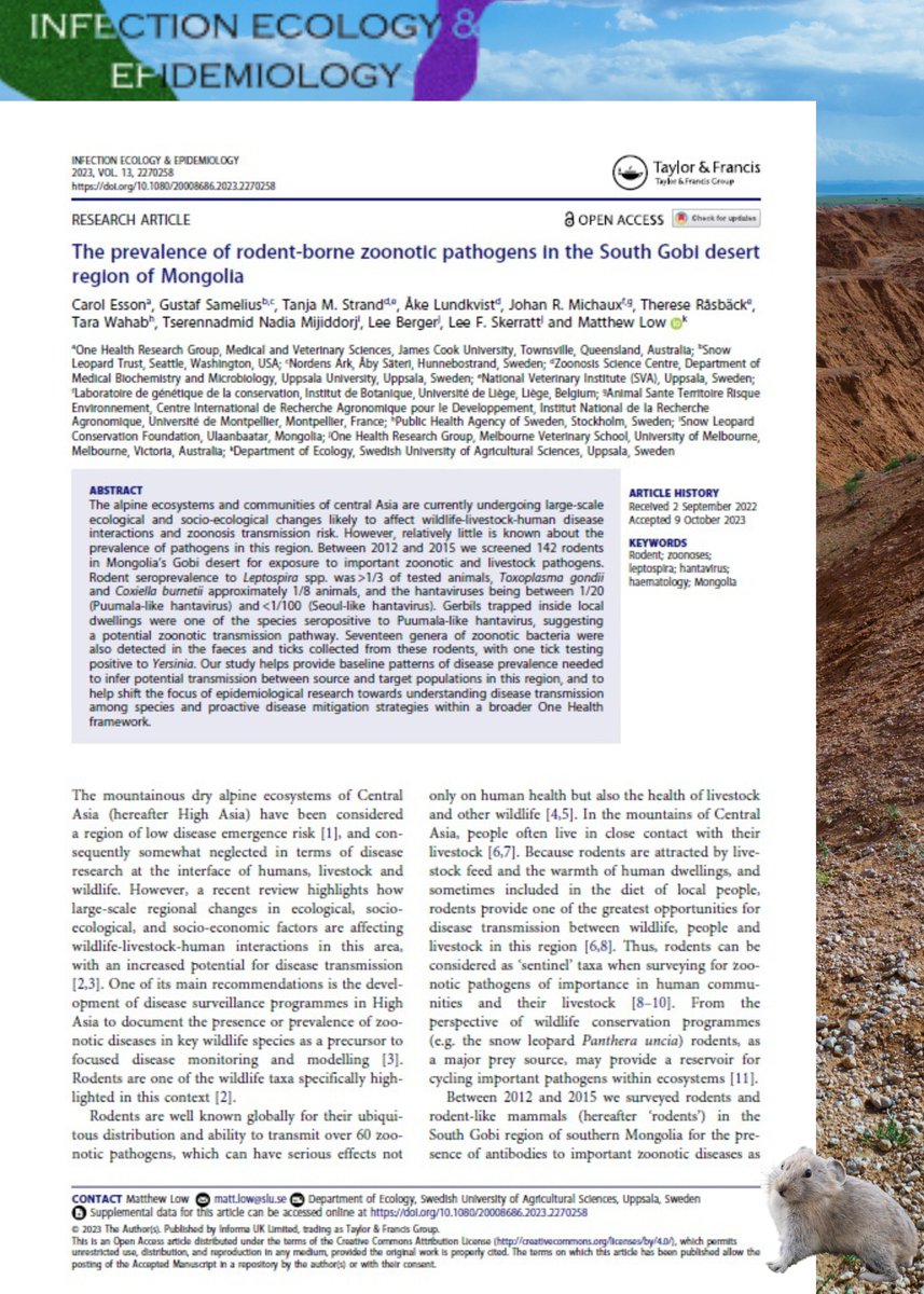 🔔New #TuesdayPapers investigating the prevalence of #rodent-borne zoonotic #pathogens with potential wildlife-livestock-human #diseasetransmission importance in the South Gobi desert, Mongolia.

🐭 doi.org/10.1080/200086… #SLResearch #pathology