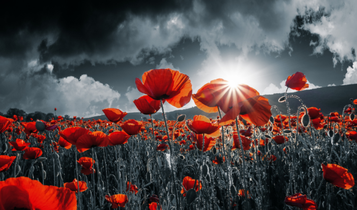 CityFredPolice's tweet photo. Lest we forget. https://t.co/8OUaQpiXEc