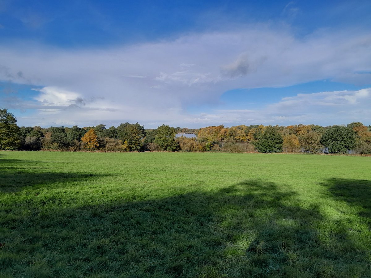 A lovely walk near Mount St Bernard's Abbey in Leicestershire.  Beautiful sunny day. Lots of birds trees looking gorgeous. A peaceful place. Walk to nearby blackbrook reservoir. God's world.
