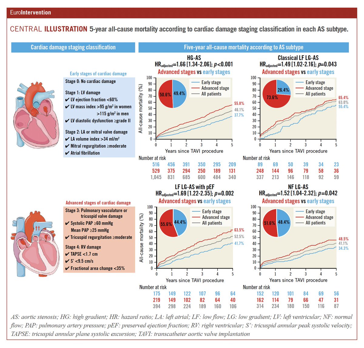 In this prospective TAVI registry of 2,090 patients across the hemodynamic spectrum of severe aortic stenosis, the cardiac damage staging classification stratified the risk of death irrespective of aortic stenosis subtypes (e.g., high or low gradient). eurointervention.pcronline.com/article/progno…