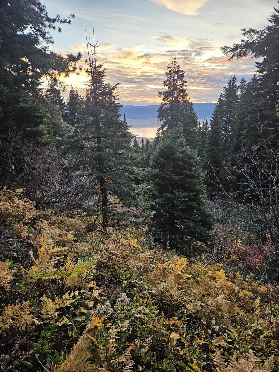 axiomthawyze's tweet image. Damn, nature. You pretty. #idahome