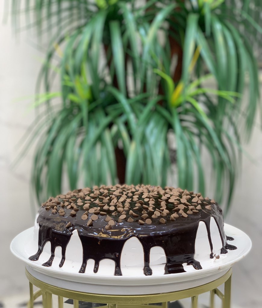 واطيب كـيكـه مــن ايدي 😋🤍