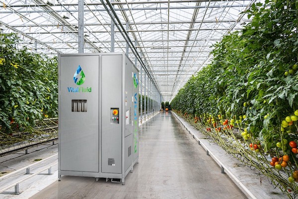 Horticoop invests in VitalFluid plasma technology <a href="/horticoopts/">Horticoop Technical Services</a> 
floraldaily.com/article/957496…