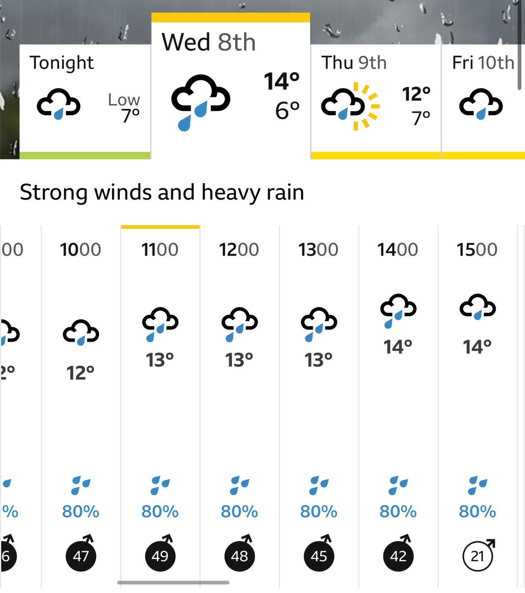 Tomorrow looks like a write off 🌧️ so stop searching youtube for how to improve your golf and send me a swing across for a FREE analysis ⛳️

Simply click the link below, follow my <a href="/skillestapp/">Skillest</a> profile and I'll dm you with the rest

skillest.app.link/profile?u=MN8d…