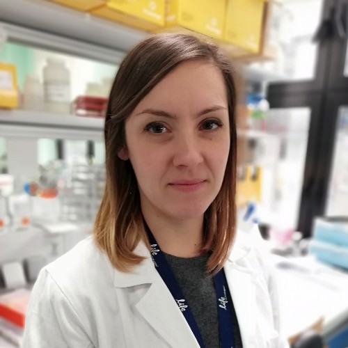 Human Immunology News (@humanimmunenews) on Twitter photo If you haven't already, then check out this <a href="/nature/">nature</a> paper by the <a href="/OstuniLab/">Renato Ostuni</a>, <a href="/NCaronni/">nicoletta caronni</a>, and colleagues where they uncovered that IL-1β+ #macrophages fuel ⛽ pathogenic inflammation in #PancreaticCancer! <a href="/SanRaffaeleMI/">Ospedale San Raffaele</a>
Abstract link: 🔗 bit.ly/3Qrbfkd If you haven't already, then check out this <a href="/nature/">nature</a> paper by the <a href="/OstuniLab/">Renato Ostuni</a>, <a href="/NCaronni/">nicoletta caronni</a>, and colleagues where they uncovered that IL-1β+ #macrophages fuel ⛽ pathogenic inflammation in #PancreaticCancer! <a href="/SanRaffaeleMI/">Ospedale San Raffaele</a>
Abstract link: 🔗 bit.ly/3Qrbfkd