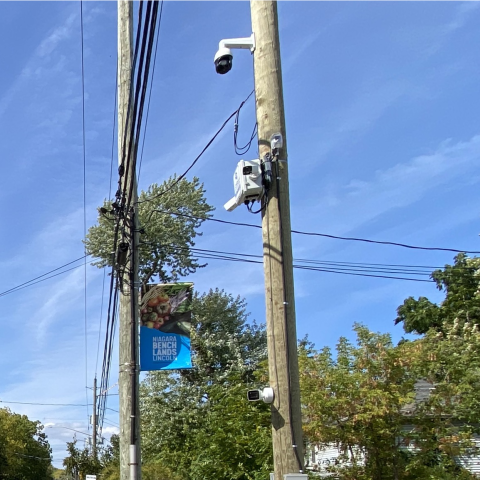 Town of Lincoln tweet media