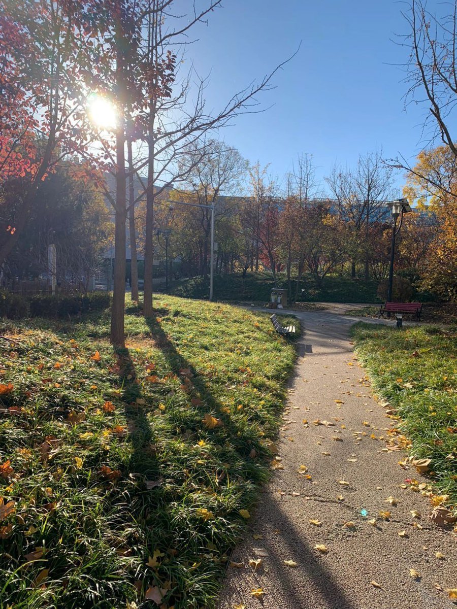 pirteya's tweet photo. "The morning sunshine will illuminate your soul and warm your every moment!" https://t.co/8hCoXFlQkw