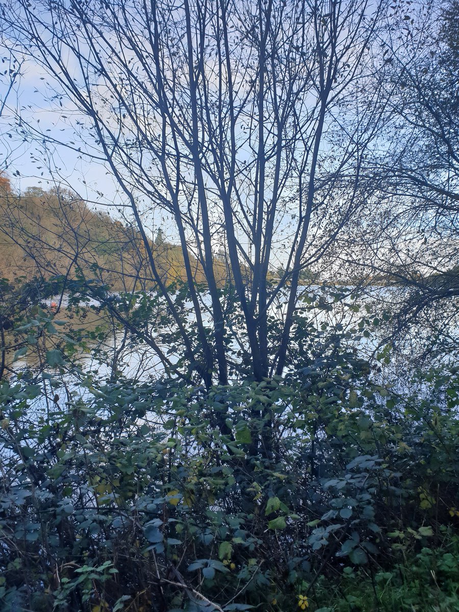 ⚠️PATH CLOSURE REMINDER⚠️

Our walkway will be closed for essential repairs tomorrow (Wednesday 8th November)

Apologies for any inconvenience caused 

Path will reopen as normal on Thursday 

#walking #park #autumn #outdoors #path #Maintenance