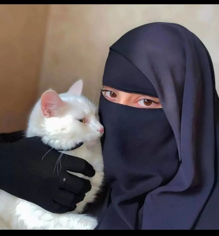 Huda kHan NiaZi😍(804) tweet media