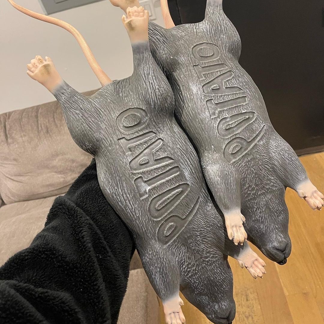 Complex Sneakers tweet media