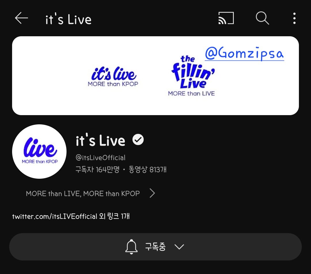 곰냥이집사 tweet media