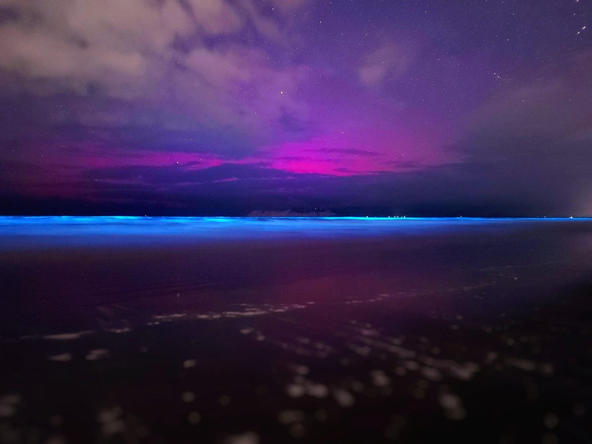 Hinatore (bioluminescence) and Te Tahunui-a-rangi (aurora australis) captured together from Te Oneroa a Hinehākirirangi (Midway Beach) in Tūranganui a Kiwa (Gisborne). Image credit: Monika Teta