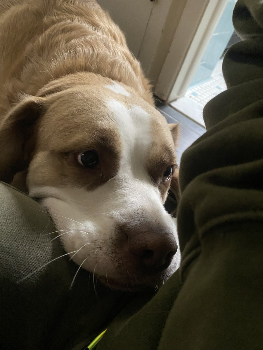 charley ☆.◦.*✧•˙*✧ tweet media