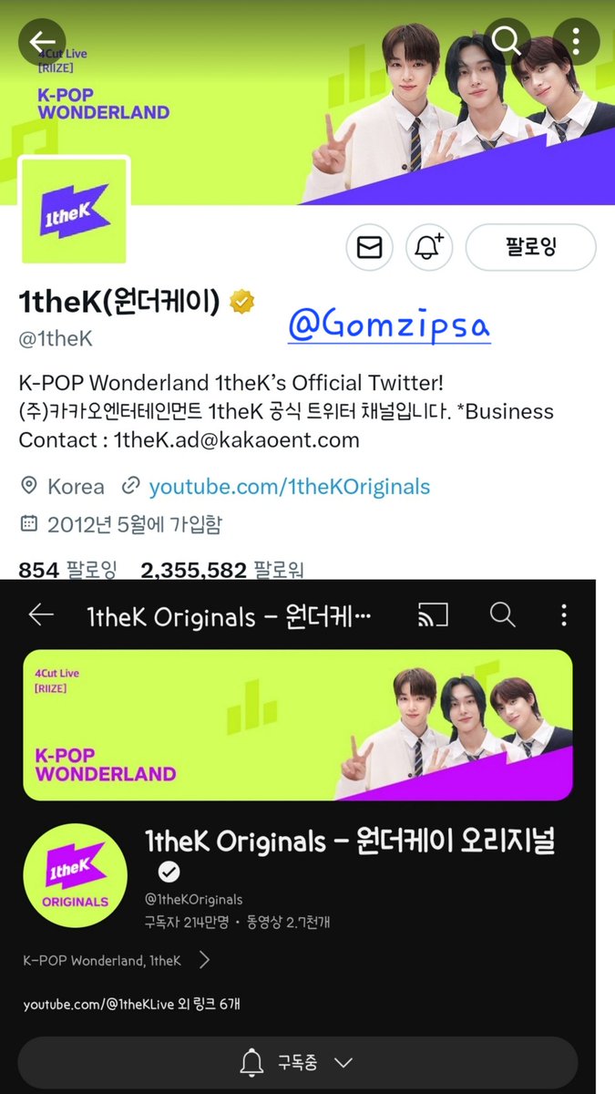 곰냥이집사 tweet media
