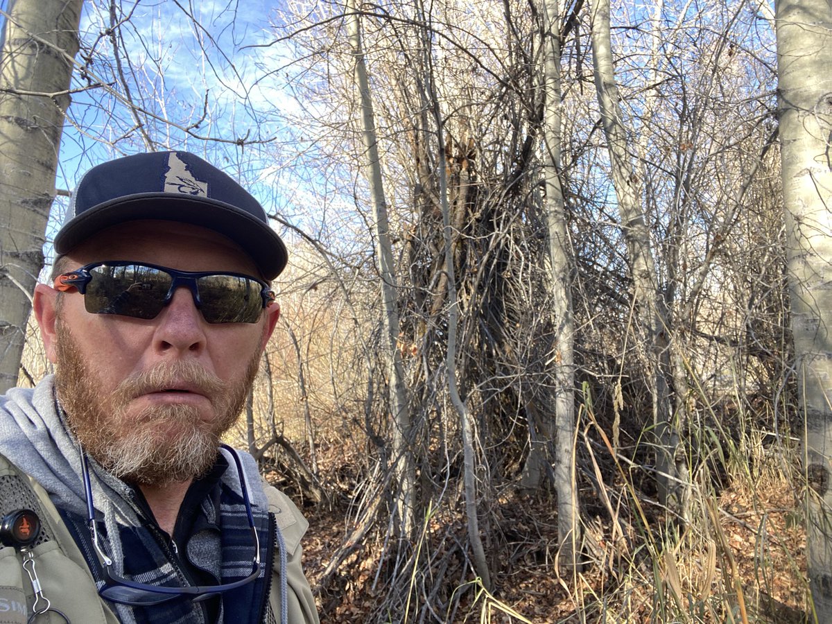 Peeblesshire99's tweet image. @AuthorRonny @mireyamayor Came across this near Ketchum, ID. Looks like a tree simply broke, but had to take a pic. #ExpeditionBigfoot #TreeStructure #NotReally #Sasquatch #Bigfoot
