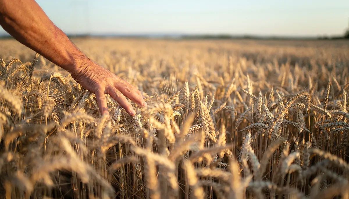Orgullo Rural (@orgullorural2) on Twitter photo 📢 || Un Plan de Gobierno para el desarrollo de la bioeconomía, la agricultura, la ganadería y la pesca en Argentina:
Elaborado por <a href="/vilellafer/">Fernando Vilella</a> <a href="/pedrovigneau/">Pedro Vigneau 💙</a> y Germán Paats en colaboración para Mitre y el Campo.
mitreyelcampo.cienradios.com/bioeconomia-tr… 📢 || Un Plan de Gobierno para el desarrollo de la bioeconomía, la agricultura, la ganadería y la pesca en Argentina:
Elaborado por <a href="/vilellafer/">Fernando Vilella</a> <a href="/pedrovigneau/">Pedro Vigneau 💙</a> y Germán Paats en colaboración para Mitre y el Campo.
mitreyelcampo.cienradios.com/bioeconomia-tr…