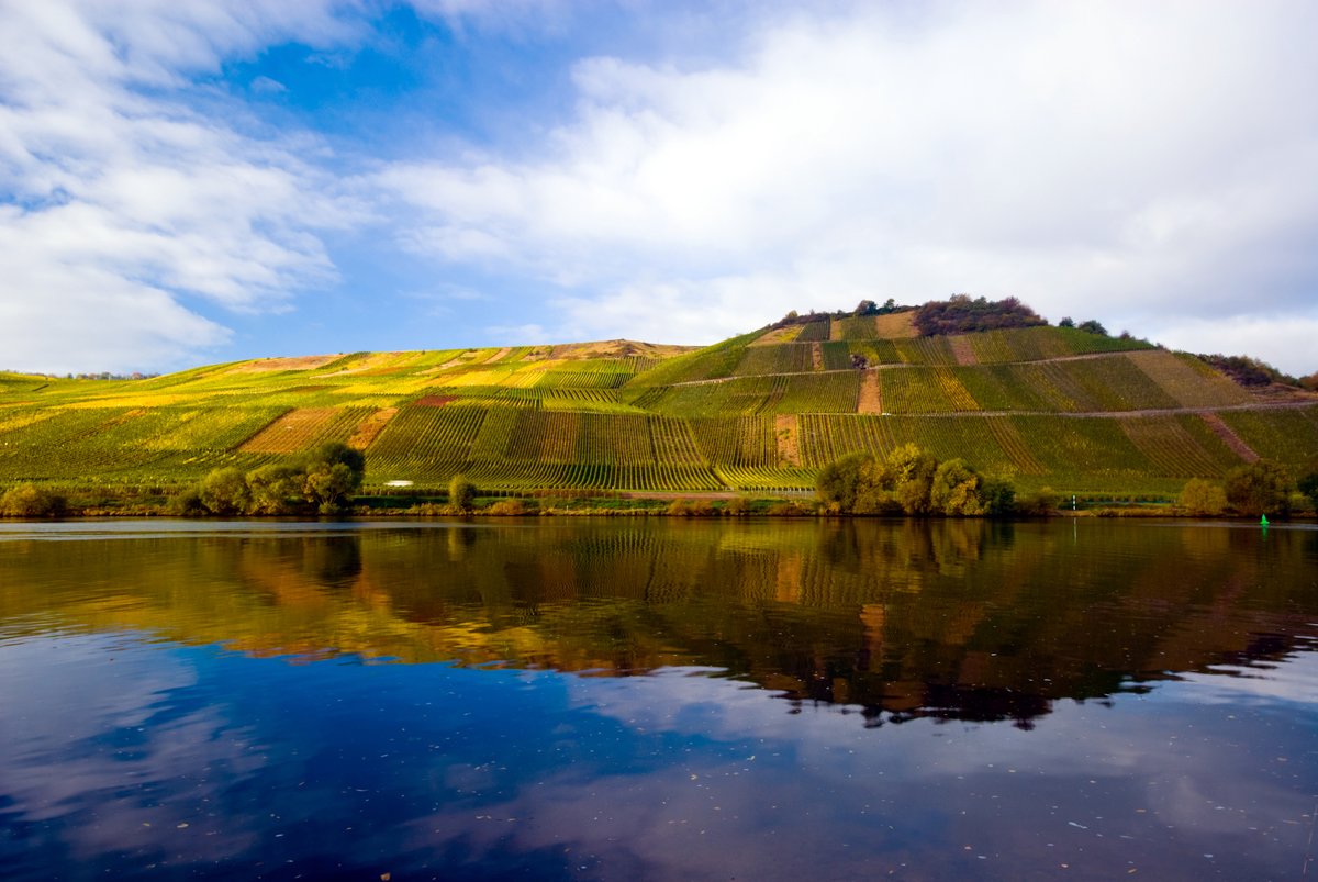 ExtraAdventures's tweet photo. NEW #BLOG
#River #Cruises #Wine #Tourism
Our experts can get you booked on the wine #rivercruise of your dreams!

https://t.co/SWWfe6pG4q

#cruising #cruisevacation #travel #travelagent #traveladvisor #luxury #luxurytravel #AvalonWaterways #amawaterways #uniworld #vikingcruises https://t.co/5wfHmVvZMh