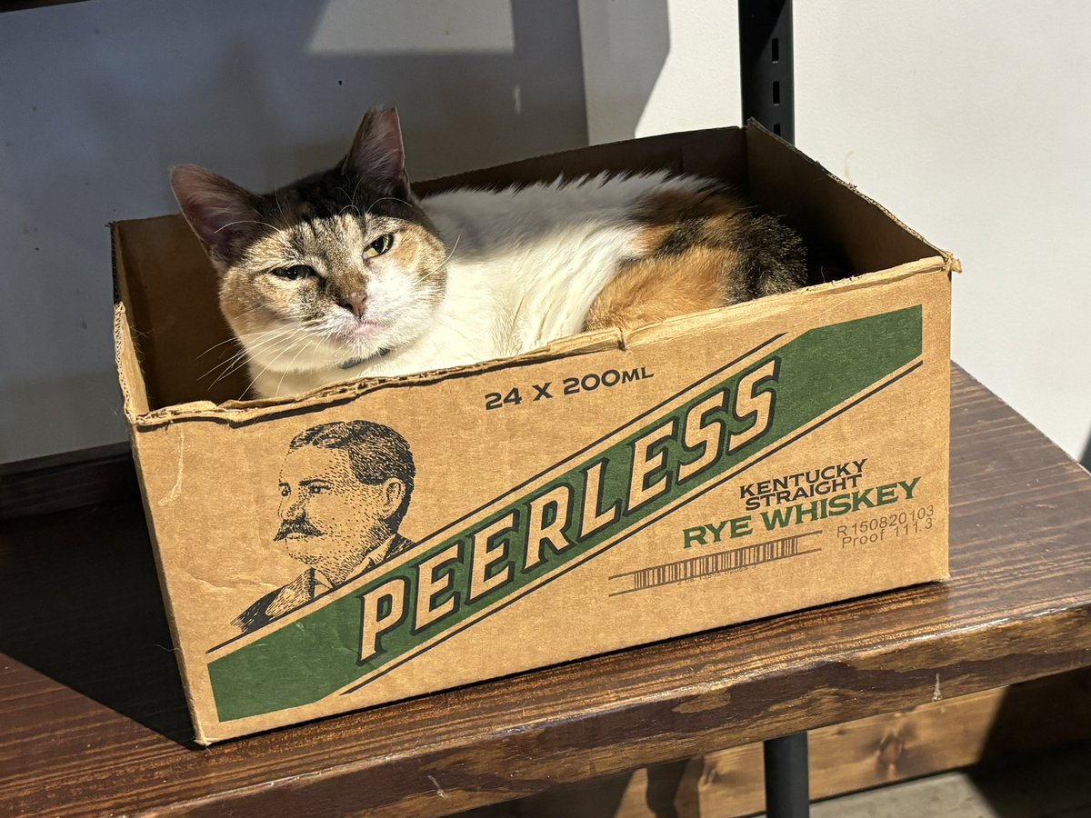 We had no idea we’d saved the best for last, but what a wonderful visit at @kypeerless. To meet with Corky and Carson Taylor and learn of their rich heritage and commitment to craft whisky was thrilling. Delicious & thrilling. Love and scratches to Rye. 🐱 🥃 ❤️ #kentuckypurrless