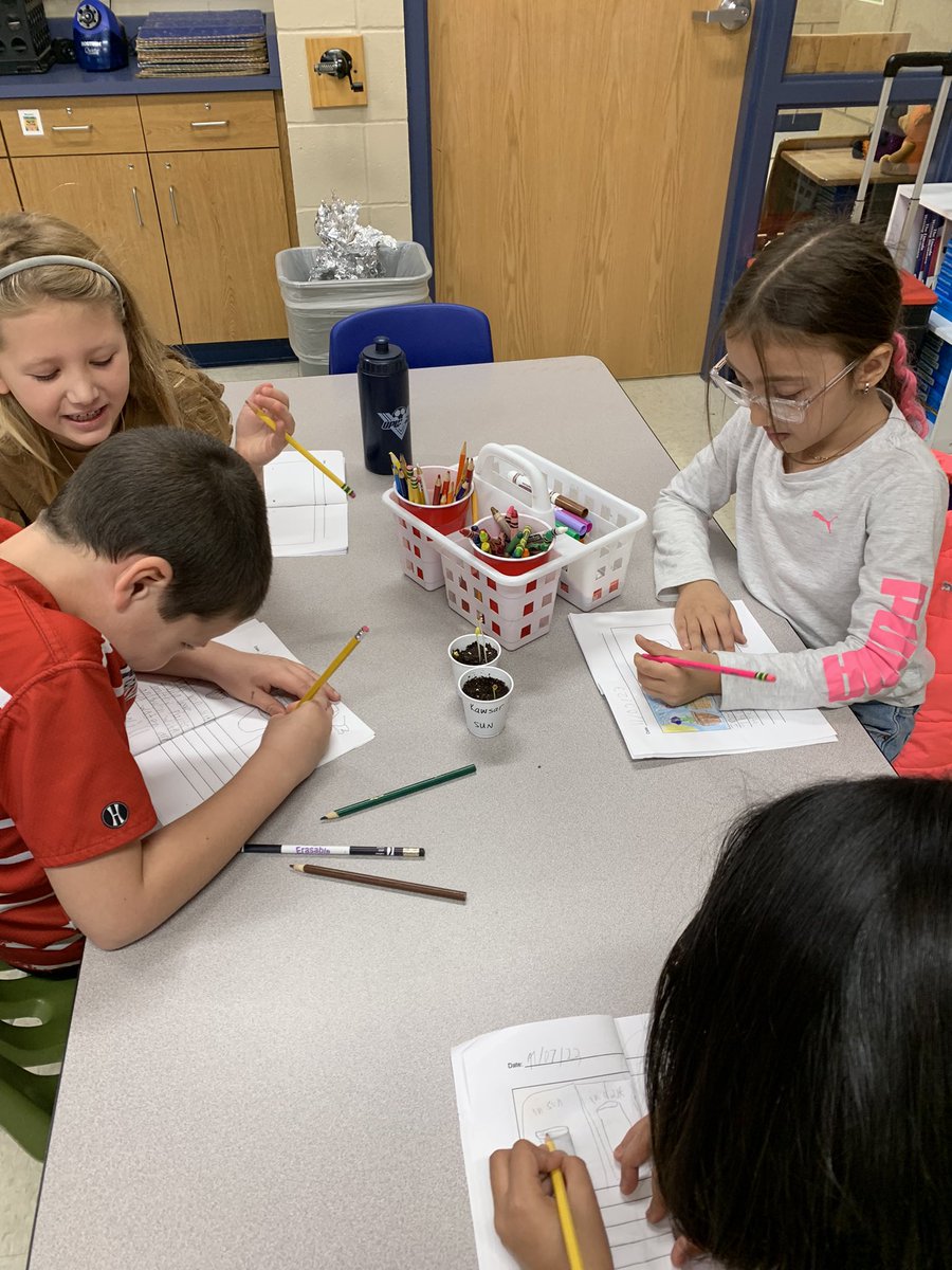 Do plants need sunlight to grow? Ss noticed that radish seeds CAN grow without sunlight, but are they healthy? Lots of smart wonderings today! <a href="/GrantAllStars/">Grant Elementary</a>