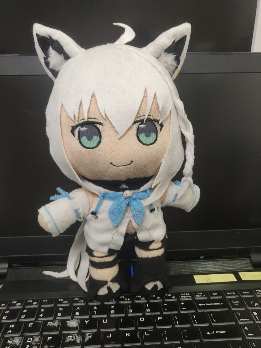 fluffyplatypi's tweet photo. Fubuki plushie I made last year and forgot to post
#絵フブキ #すこん部 #FBKBFF https://t.co/zhpJg7ca9x